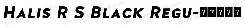 Halis R S Black Regu字体转换